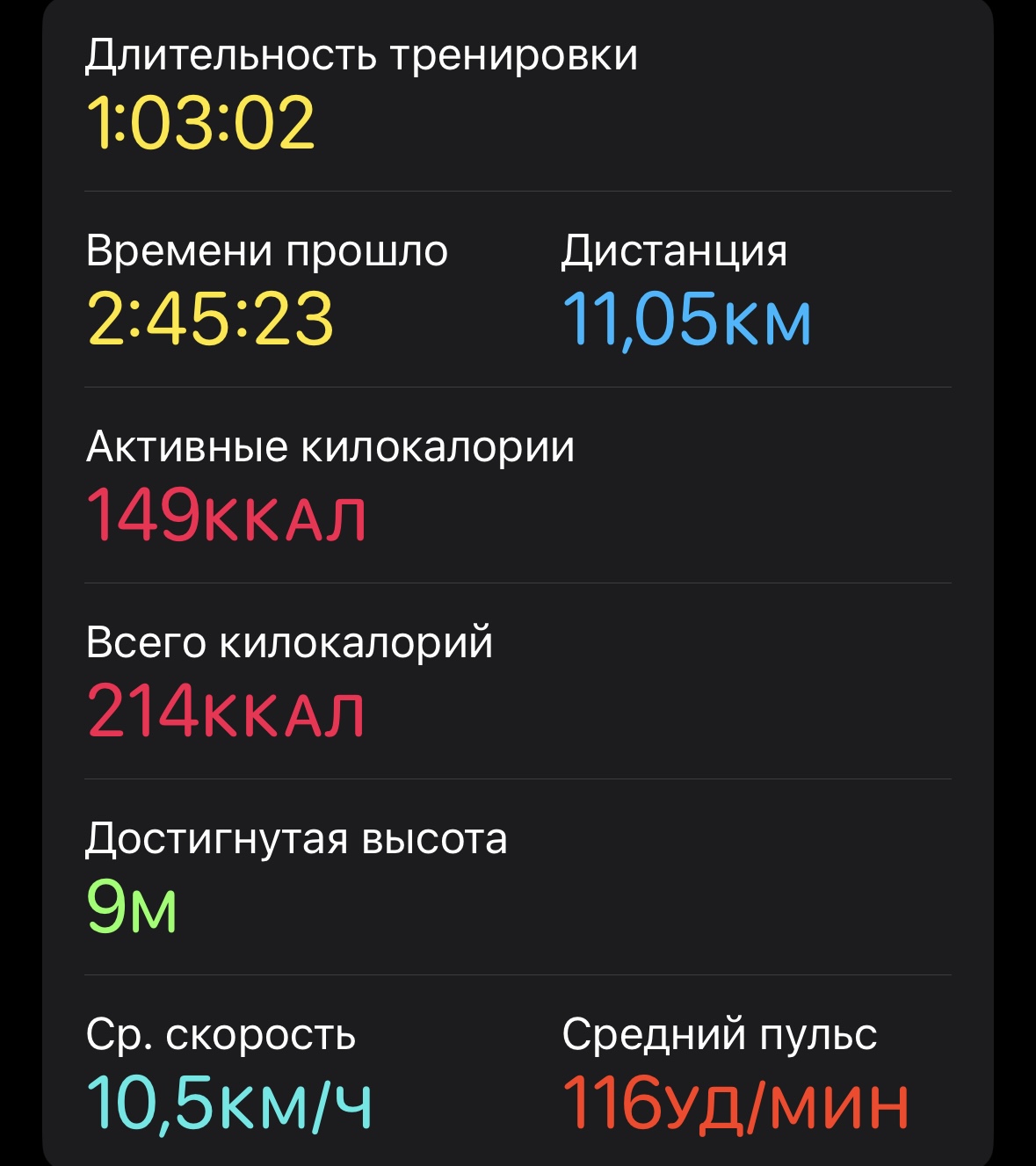 Скриншот тренировки
