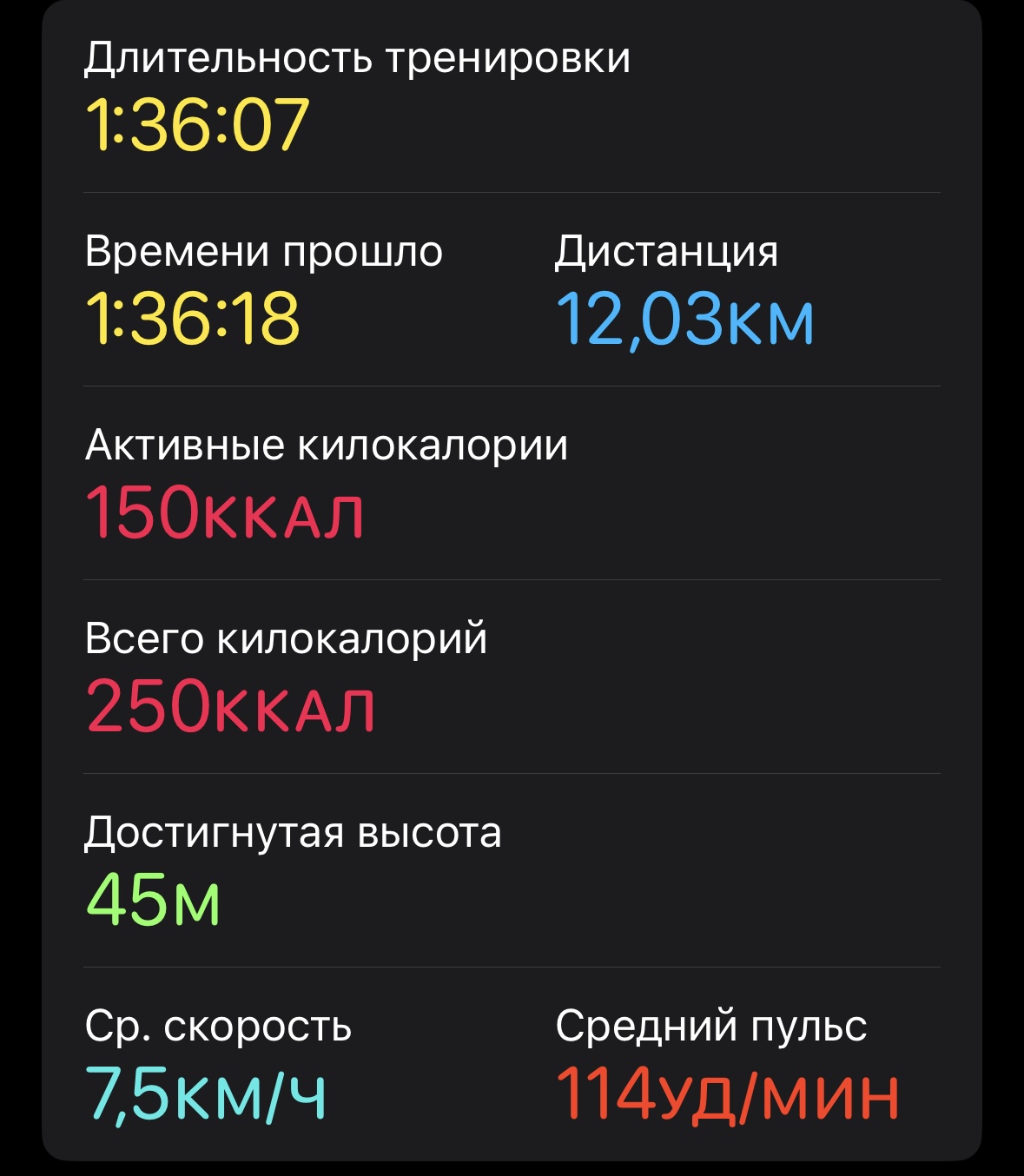 Скриншот тренировки